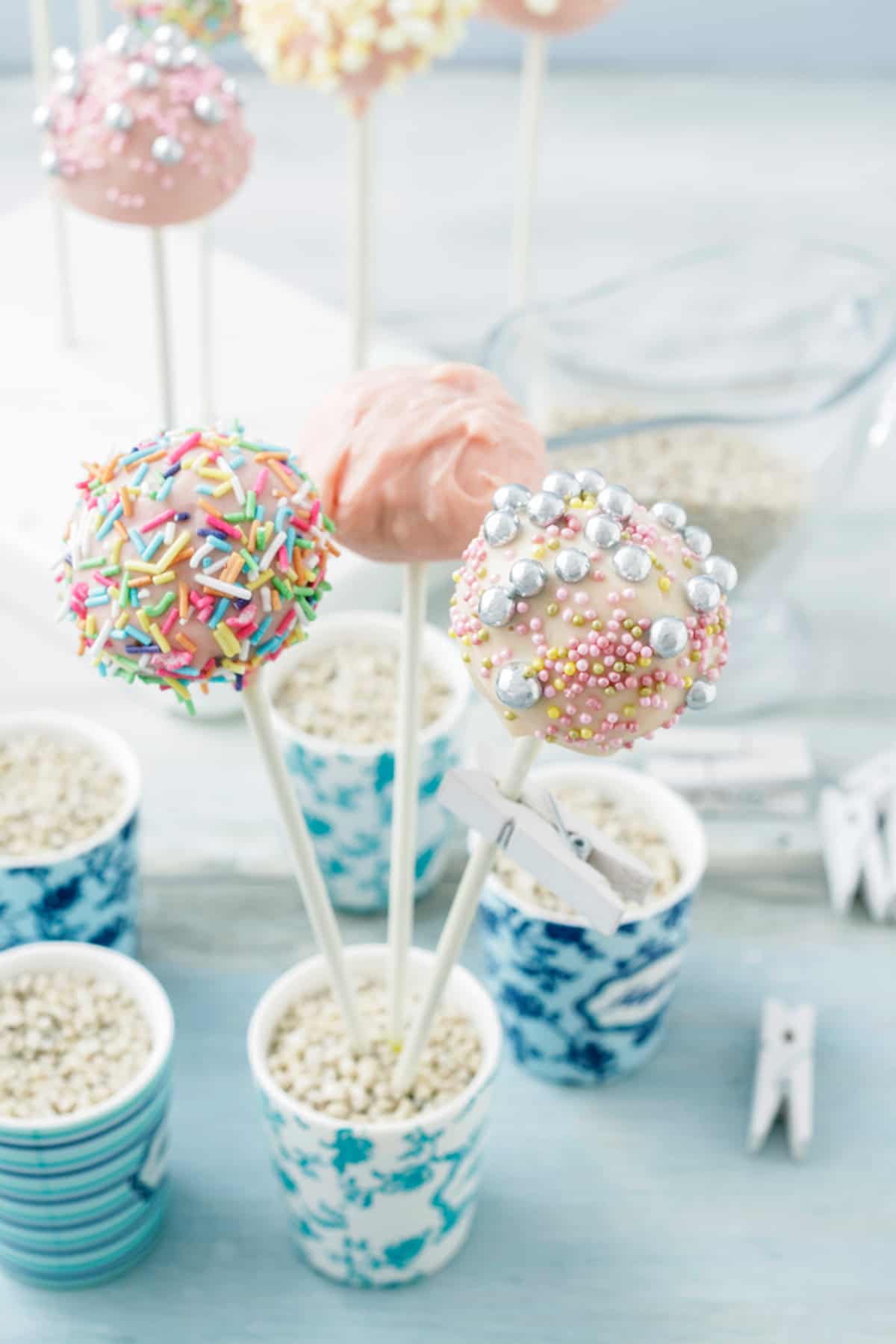 Does Publix Make Cake Pops EverydayQuery